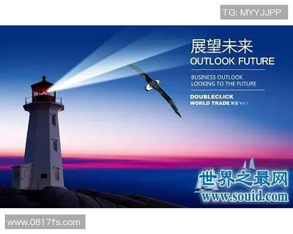 2017九号足球明星的辉煌历程与未来展望解析